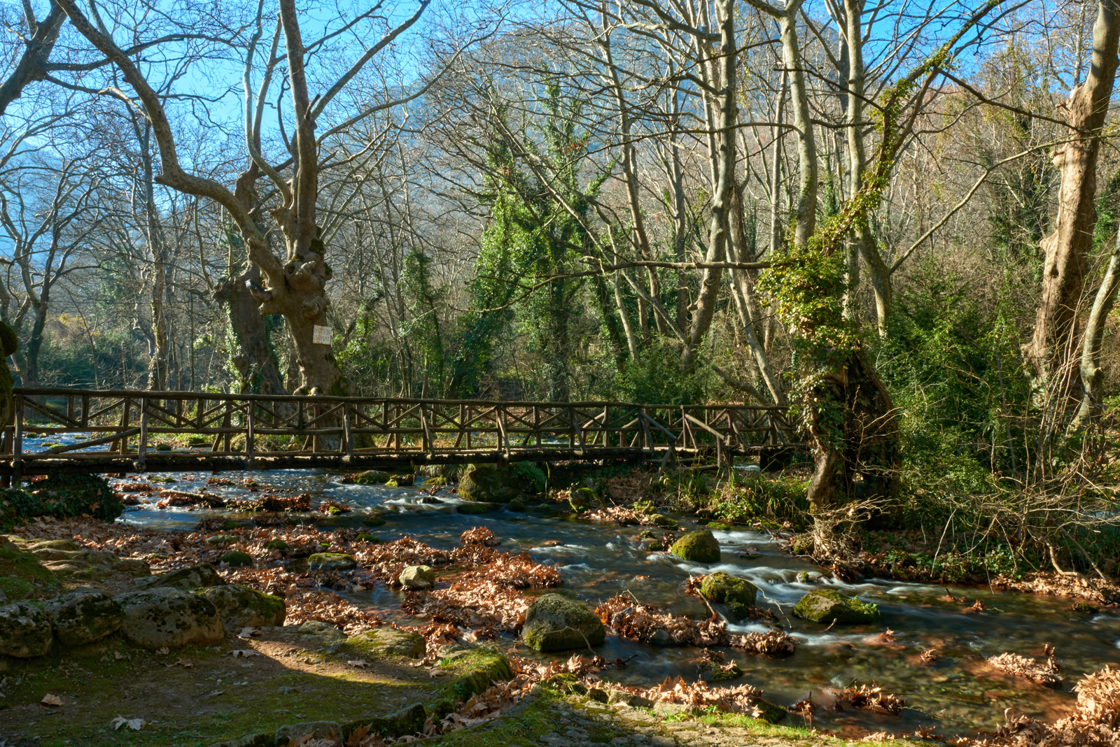 A wooden bridge at Saint Nicholas' Grove Naoussa in Autumn