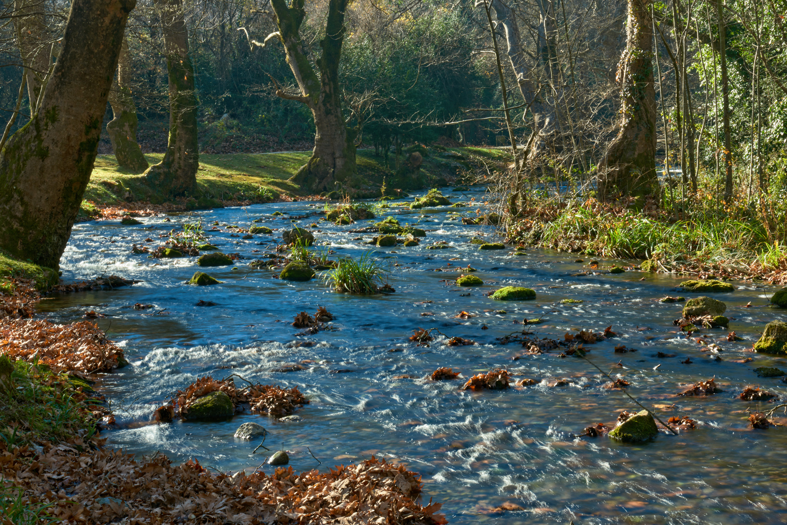 The Arapitsa River in Saint Nicholas' Grove Naoussa in Autumn